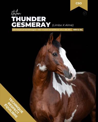 thunder gesmeray zeke don kichot pawnee  - Sella Francese 2010