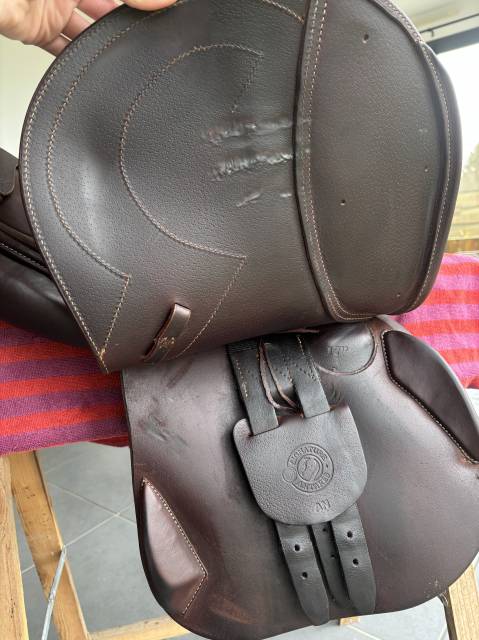 Sella da salto ostacoli Antar&egrave;s  17" - 2023