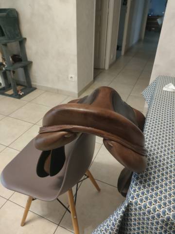 Sella da salto ostacoli Antar&egrave;s  17" - 2020