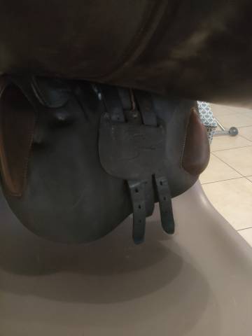 Sella da salto ostacoli Antar&egrave;s  17" - 2020