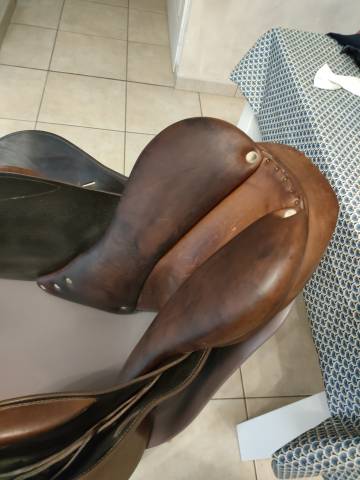 Sella da salto ostacoli Antar&egrave;s  17" - 2020