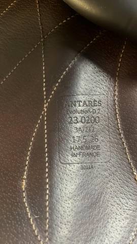 Sella da salto ostacoli Antar&egrave;s  17.5" - 2023