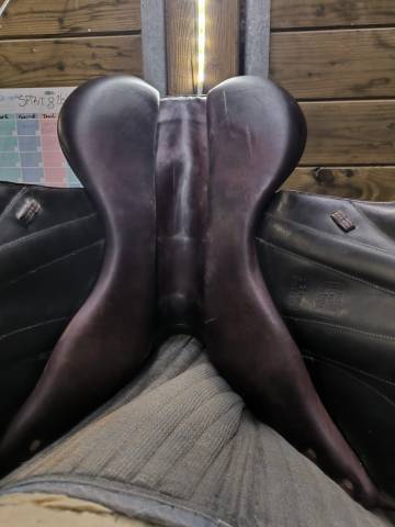 Sella da salto ostacoli Forestier  17" - 2013