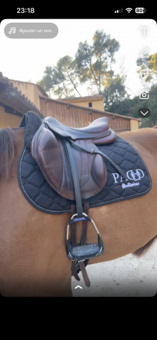 Sella da salto ostacoli Forestier  17" - 2013