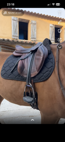 Sella da salto ostacoli Forestier  17" - 2013