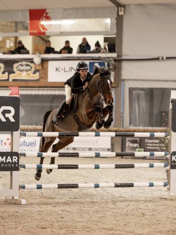 Castrone Origine non conosciuta  In vendita 2015 Baio