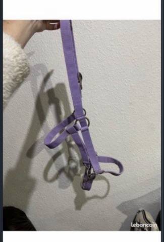  - Altra Marca - Occasione