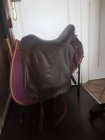 Sella da dressage  Pedro Lopes  17" - 2021