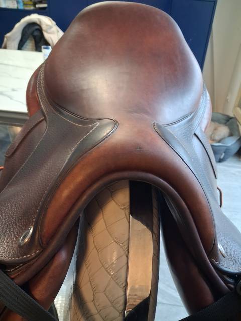 Sella mista CWD  17" - 2022