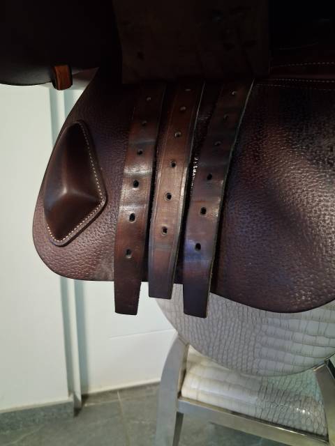 Sella mista CWD  17" - 2022