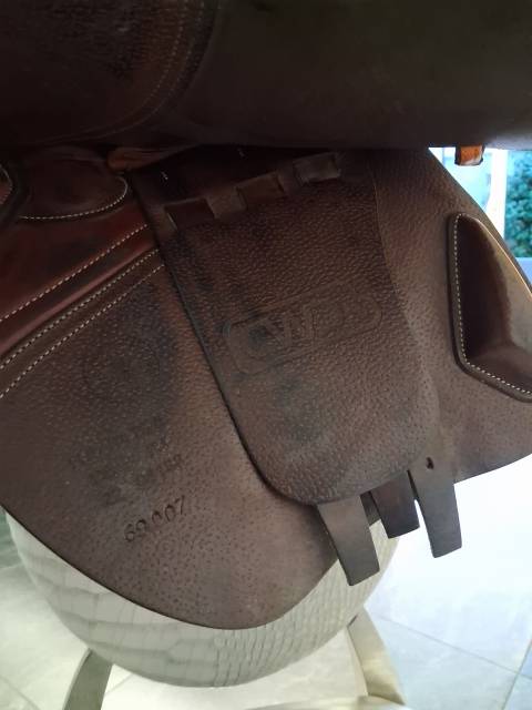 Sella mista CWD  17" - 2022