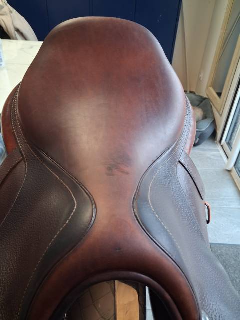 Sella mista CWD  17" - 2022