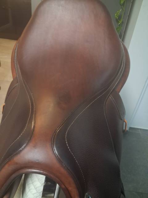 Sella mista CWD  17" - 2022