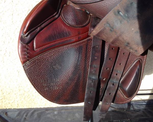 Sella da salto ostacoli CWD  17" - 2024