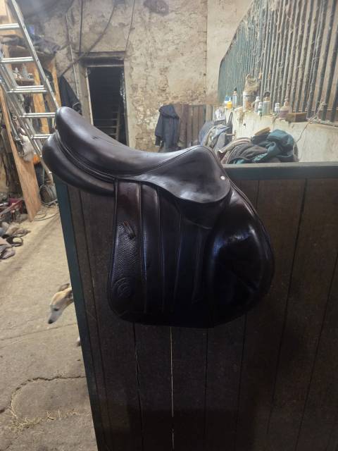 Sella da salto ostacoli Forestier  17.5" - 2023