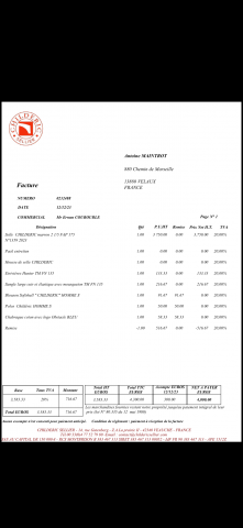 Sella da salto ostacoli Childeric  17.5" - 2023