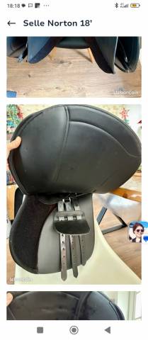 Sella da trekking Norton  18" - 2025