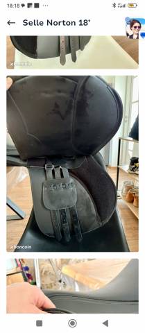 Sella da trekking Norton  18" - 2025