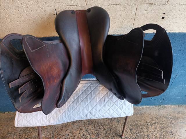 Sella mista Fleur de Lys  16.5" - 2010