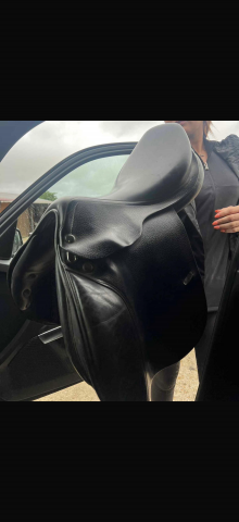 Sella mista Prestige Italia  17.5" - 2020