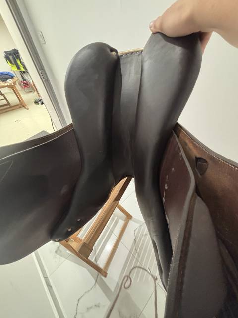 Sella da salto ostacoli Antar&egrave;s  17.5" - 2024