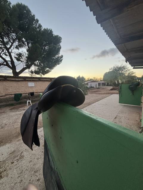 Sella da salto ostacoli Antar&egrave;s  17.5" - 2024