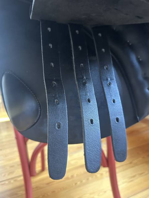 Sella da salto ostacoli  Acavallo - selle obstacle Veneziano 17.5" - 2025