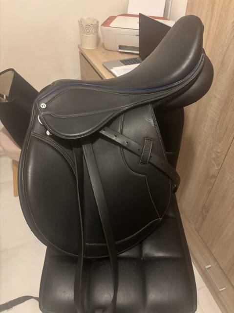 Sella mista Norton  17" - 2024