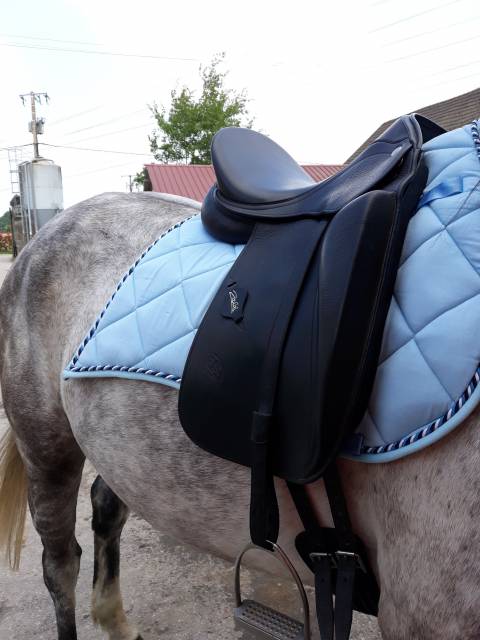 Sella da dressage Zaldi  17.5" - 2020