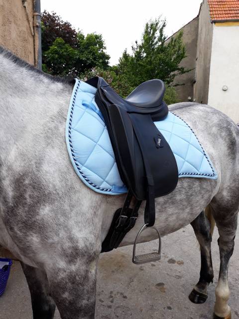 Sella da dressage Zaldi  17.5" - 2020