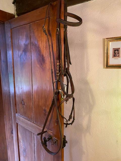  - Altra Marca - Occasione