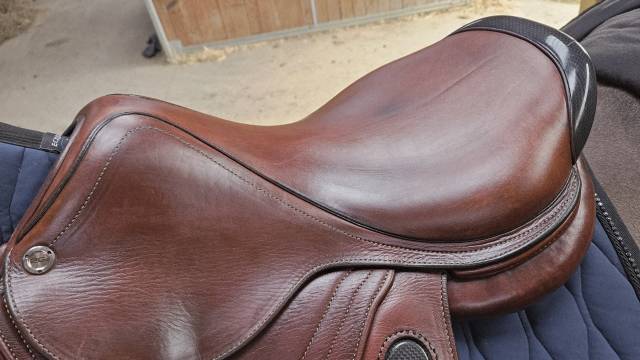 Sella da salto ostacoli CWD  17.5" - 2022