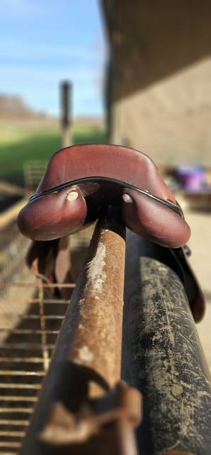 Sella da salto ostacoli GBS  17.5" - 2022