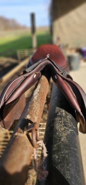 Sella da salto ostacoli GBS  17.5" - 2022