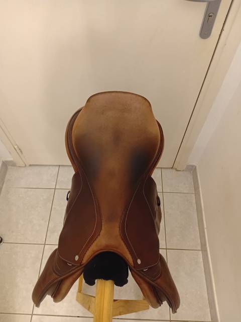 Sella mista GBS  18" - 2018