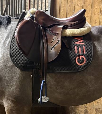 Sella da salto ostacoli Antar&egrave;s Antares classique 17.5" - 2013