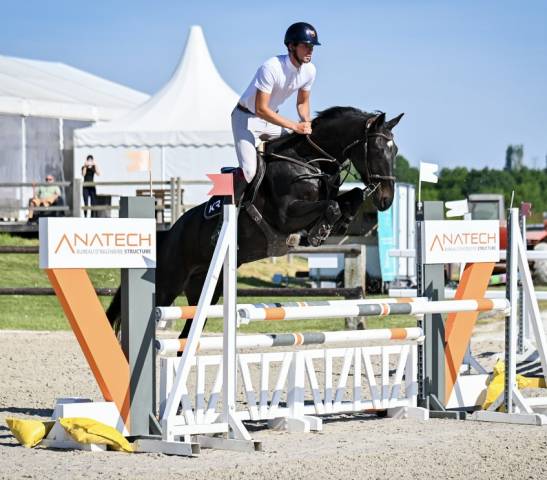 Castrone Zangersheide In vendita 2021 Nero ,  Columbus Z