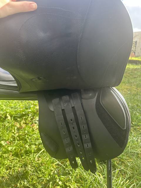 Sella da salto ostacoli   17" - 2017