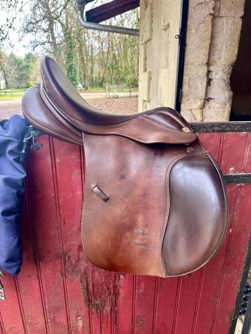 Sella mista Prestige Italia GP 17" - 2012