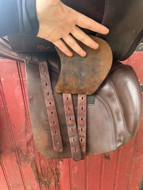 Sella mista Prestige Italia GP 17" - 2012