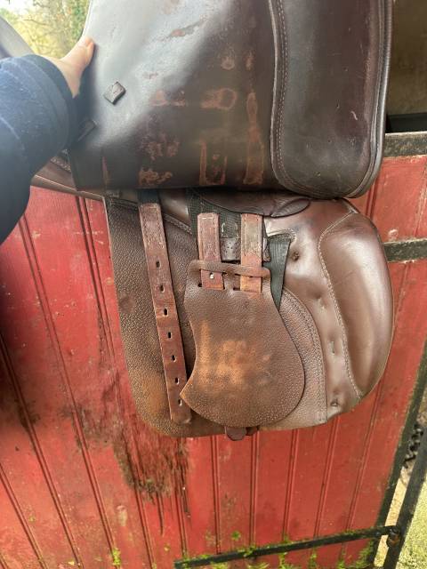 Sella mista Prestige Italia GP 17" - 2012