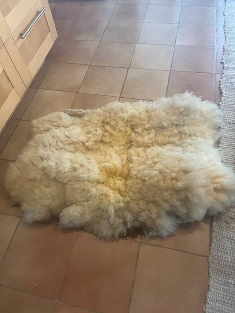 Sella da vaquera   19" - 2016