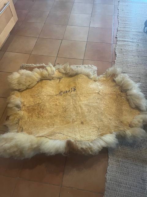 Sella da vaquera   19" - 2016