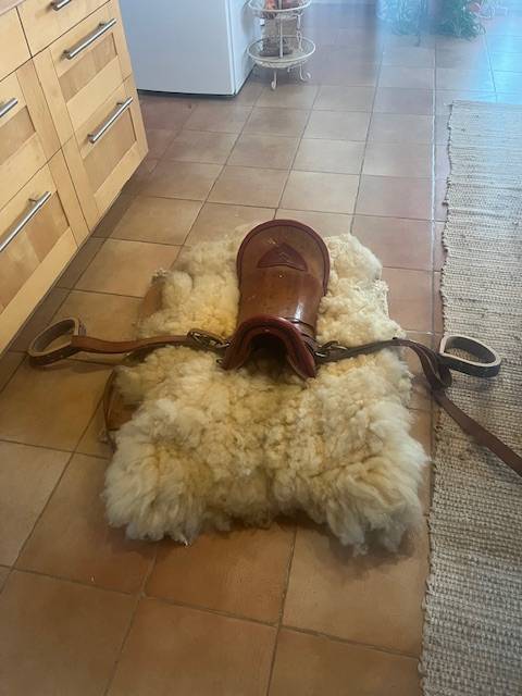 Sella da vaquera   19" - 2016