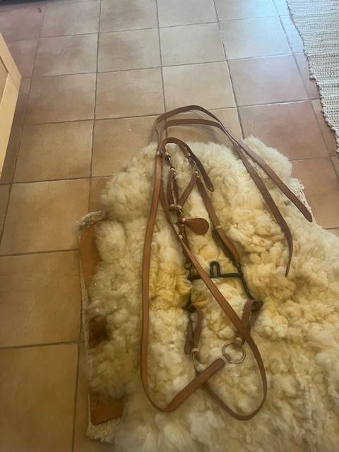 Sella da vaquera   19" - 2016