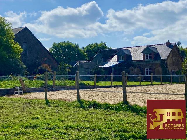 Propriet&agrave; equestre In vendita Loire-Atlantique