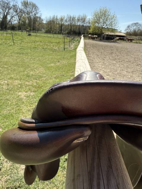 Sella da salto ostacoli GBS  17.5" - 2017