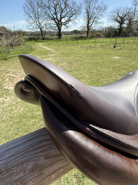 Sella da salto ostacoli GBS  17.5" - 2017