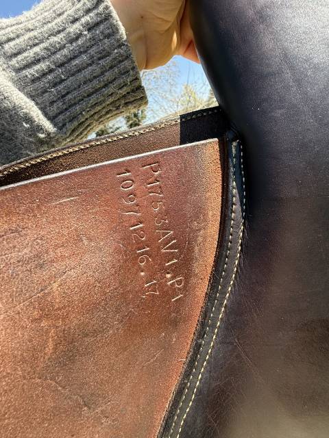 Sella da salto ostacoli GBS  17.5" - 2017