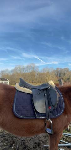 Sella mista Eric Thomas  17" - 2017